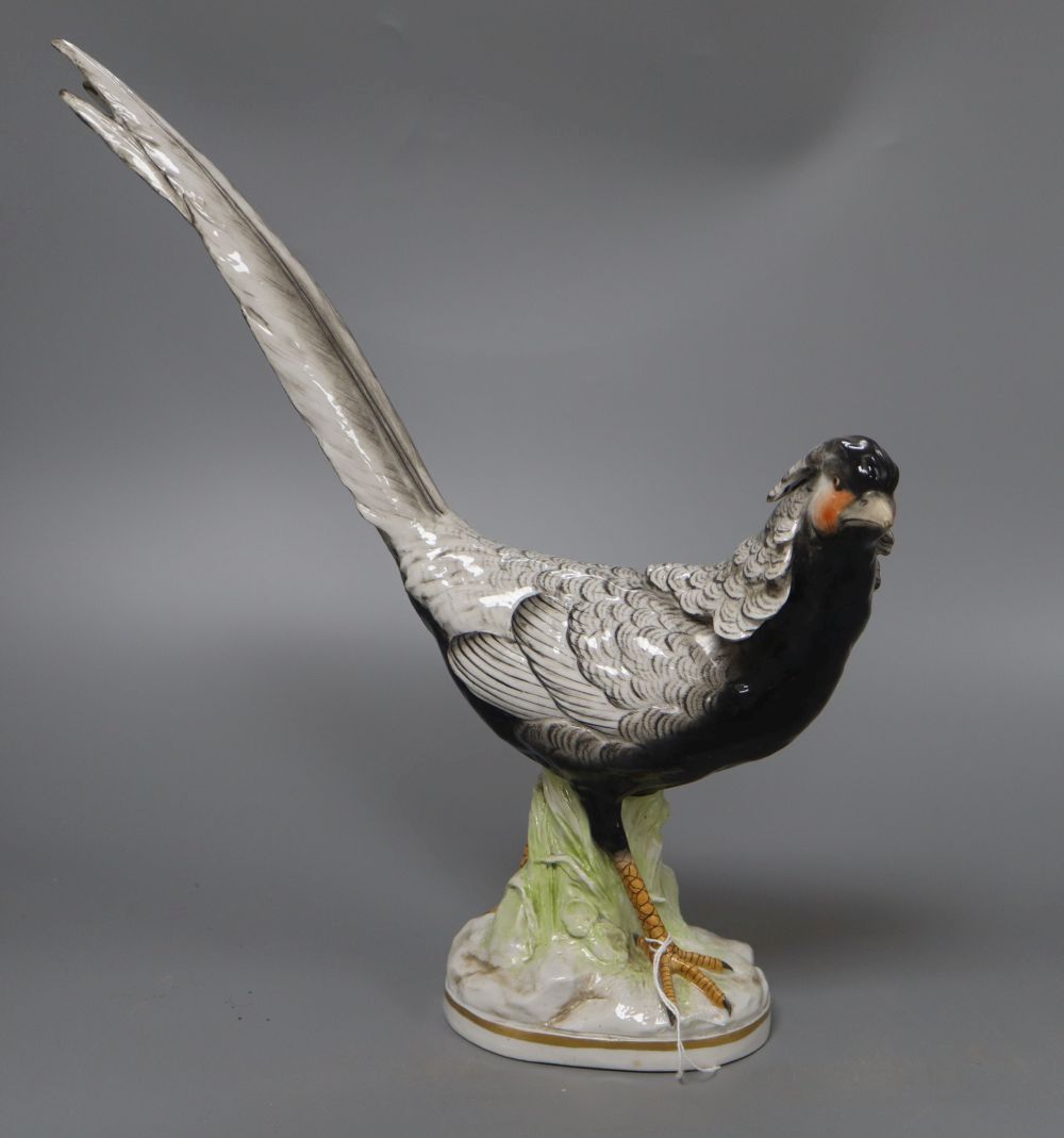 A Richard Ginori Doccia model of a pheasant